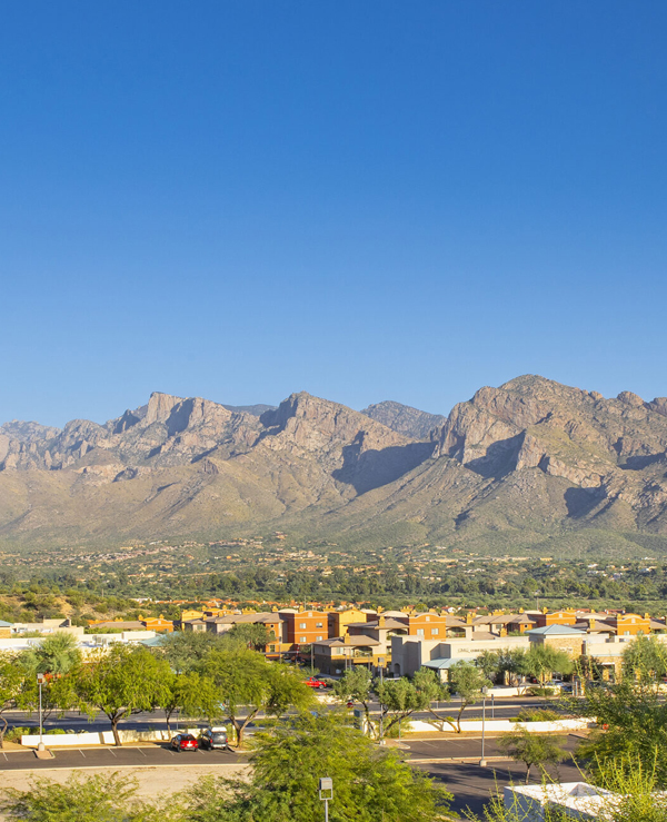 Roll-off Dumpster Rentals Serving Oro Valley, Arizona